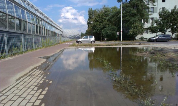 Kałuża w pobliżu Trasy Toruńskiej zalewa chodnik i wdziera się na ścieżkę rowerową / fot. targowek.info