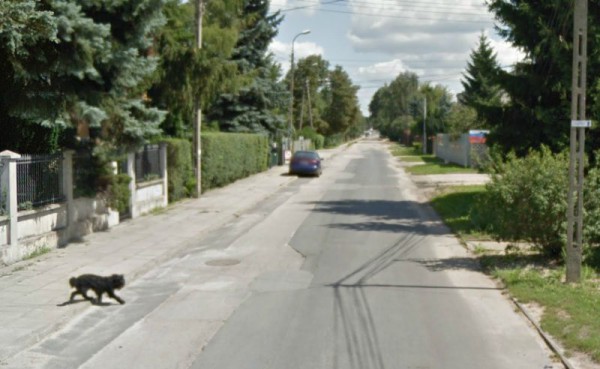 Lewinowska na pierwszym odcinku jest pokryta wielokrotnie łatanym asfaltem / fot. Google Maps