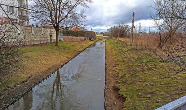 Wzdłuż kanałku w kierunku Trasy Toruńskiej dziś nie ma nawet ścieżki / fot.targowek.info