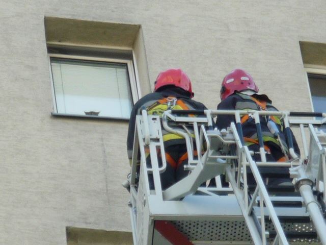 Strażacy ratują kota z 10. piętra bloku / fot. Straż Miejska