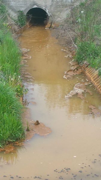 zanieczyszczenie kanalu Brodnowskiego3